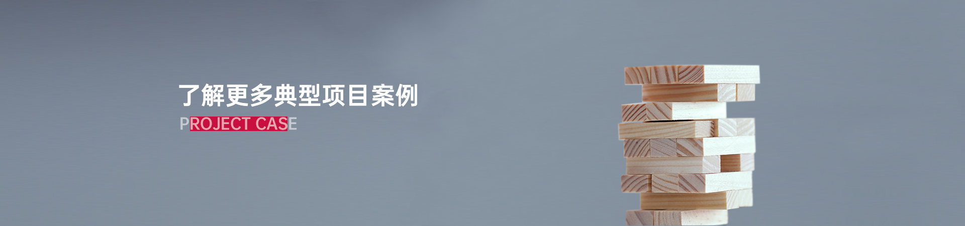 了解更多典型项目案例
